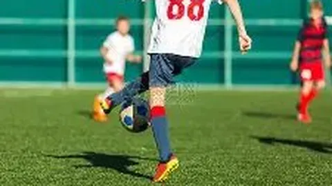 皇冠体育app下载