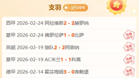 杭州举办首届中国板球联赛，亚运志愿者华丽转身成运动员