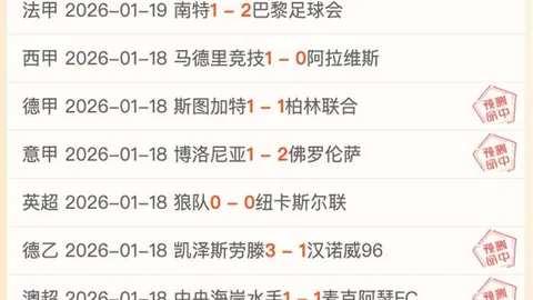 申花引进巴西新星米内罗，转会费95万美刀